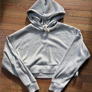 ALO Yoga Light Gray Ribbed Crop Hoodie